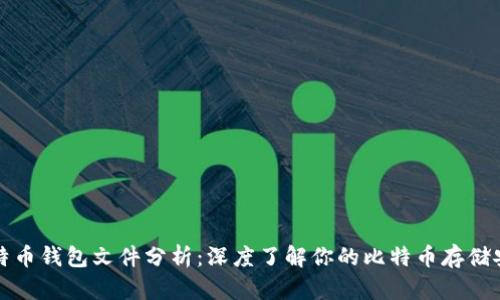 比特币钱包文件分析：深度了解你的比特币存储安全